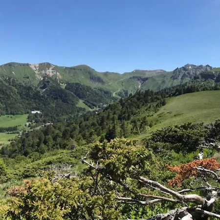 T2 Proche Thermes Avec Wifi - Fr-1-608-183 * Le Mont-Dore