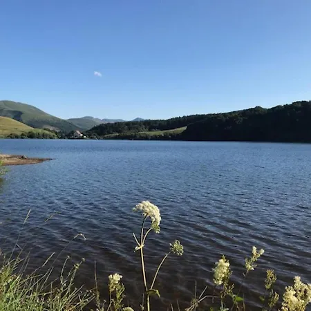 Appartamento T2 Proche Thermes Avec Wifi - Fr-1-608-183 *