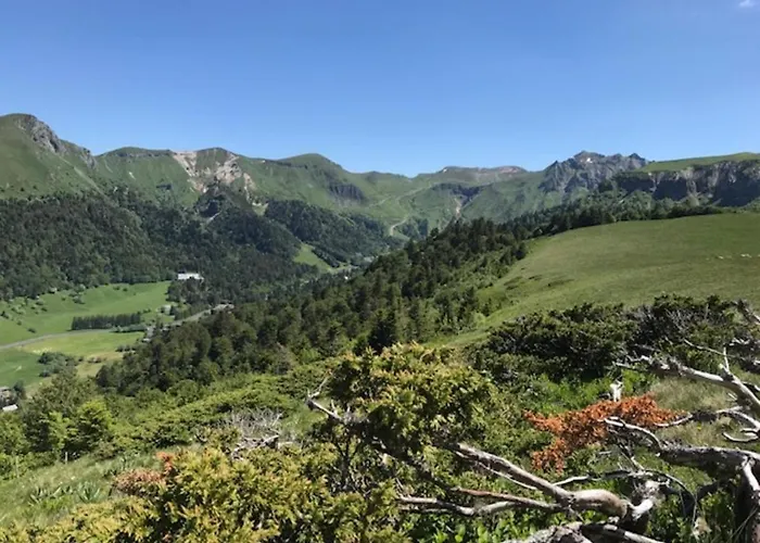 T2 Proche Thermes Avec Wifi - Fr-1-608-183 * Mont-Dore